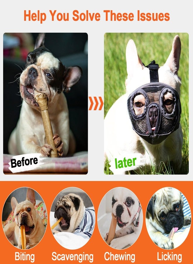 JYHY Short Snout Dog Muzzles- Bulldog Muzzle Breathable Mesh Dog Mask for Biting Chewing Training Licking Grooming (Black, L（Head 15.1-25") - Image 3